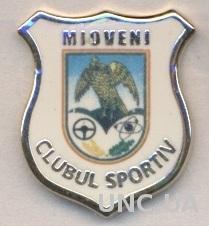 футбольный клуб Миовени (Румыния) ЭМАЛЬ / CS Mioveni, Romania football pin badge