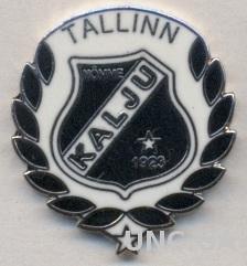 футбольный клуб Нымме Калью (Эстония), ЭМАЛЬ / Nomme Kalju, Estonia football pin