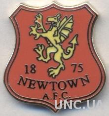 футбольный клуб Ньютаун АФК (Уэльс) ЭМАЛЬ / Newtown AFC,Wales football pin badge