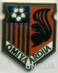 футбольный клуб Омия Ардия(Япония), ЭМАЛЬ /Omiya Ardija,Japan football pin badge