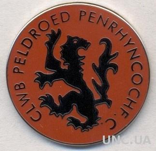 футбольный клуб Пенринкоч (Уэльс) ЭМАЛЬ /Penrhyncoch FC,Wales football pin badge