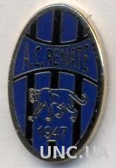 футбольный клуб Ренате (Италия) ЭМАЛЬ /AC Renate,Italy football enamel pin badge