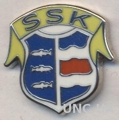 футбольный клуб Селонгер (Швеция) ЭМАЛЬ / Selanger SK, Sweden football pin badge
