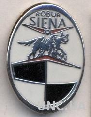 футбольный клуб Сиена (Италия)2 ЭМАЛЬ / AC Siena,Italy football enamel pin badge