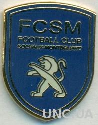 футбольный клуб Сошо (Франция),№1, ЭМАЛЬ / FC Sochaux, France football pin badge