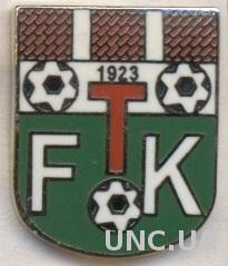 футбольный клуб Томори (Албания) ЭМАЛЬ / Tomori Berat,Albania football pin badge