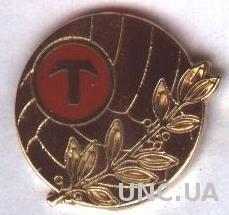 футбольный клуб Торпедо Москва(Россия)1 ЭМАЛЬ /Torpedo Moscow football pin badge