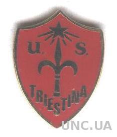 футбольный клуб Триестина (Италия) ЭМАЛЬ / US Triestina,Italy football pin badge