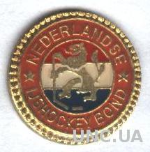 Голландия, федерация хоккея,№1, тяжмет / Netherlands hockey federation pin badge