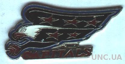 хоккейный клуб Вашингтон Кэпителс (США-НХЛ)2 тяжмет /Washington Capitals NHL pin