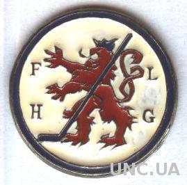 Люксембург, федерация хоккея, тяжмет / Luxemburg ice hockey federation pin badge