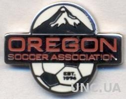 Орегон (США),федерация футбола,ЭМАЛЬ / Oregon, USA soccer association pin badge
