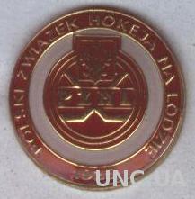 Польша, федерация хоккея, №2, тяжмет / Poland ice hockey federation pin badge