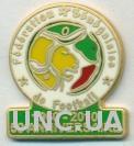 Сенегал, федерация футбола, юбилей 50, ЭМАЛЬ / Senegal football federation pin