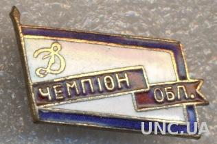 СК ДСО Динамо, чемпион области, ЭМАЛЬ /Dynamo, USSR Soviet sports society badge