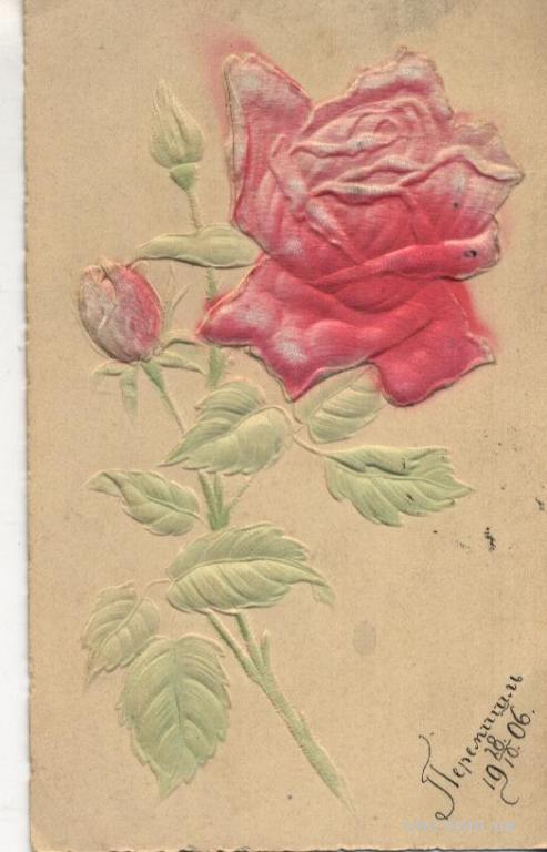 РОЗА. Цветок из шелка.  (цветная, тесненая) 1906г.