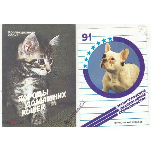 КАЛЕНДАРИК. 1991 ПОРОДИСТЫЕ КОТЫ И СОБАКИ. РОССИЯ. 2 ШТУК.