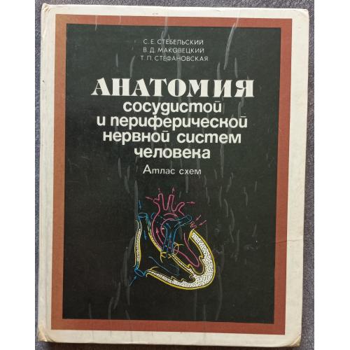 Анатомия сосудистой и периферической нервной систем человека. С.Е. Себельский, В.Д. Маковецкий, Т.П.