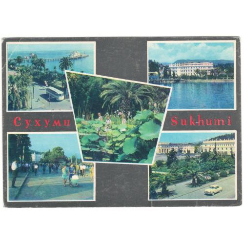 Сухуми. Морской причал. В ботаническом саду. Гостиница. Абхазия. Набережная. Площадь ленина. 1968 рі