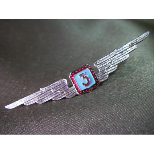 5.829 Авиация ГВФ СССР, аэрофлот, классность 3, летчик, 3 класс. Тяжелый металл