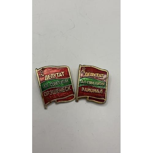 6к123 Молдавия МССР, депутат районного и сельского совета, 2 шт. Легкий металл