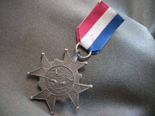 О29 Знак, медаль, спорт, плаванье, Нидерланды, Голландия. Тяжелый металл