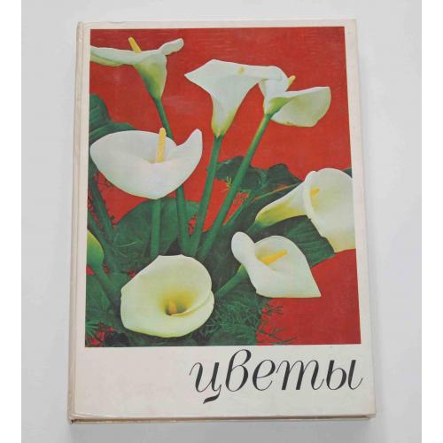 Цветы. Комнатные растения и декоративноцветущие кустарники 1978 год (9047)