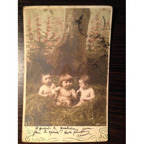 Французская фотооткрытка. Детки в гнезде. 1914 г.