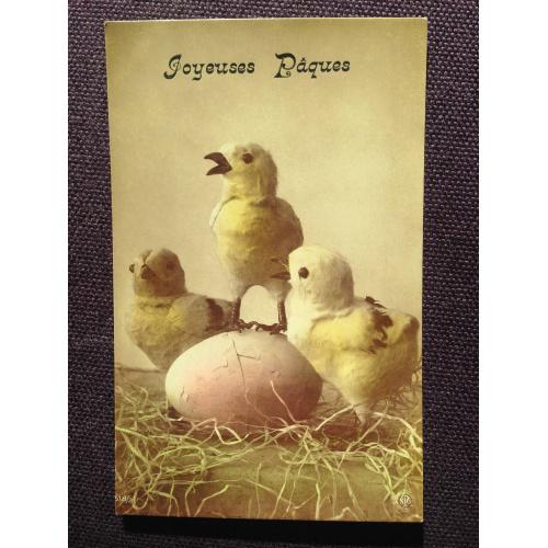 Французская открытка. С праздником Пасхи! Три цыпленка возле яйца.