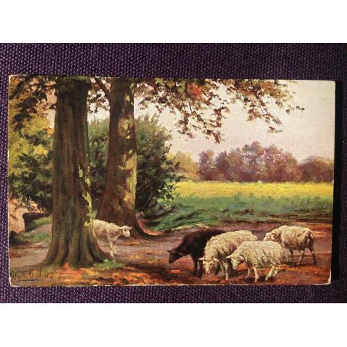 Французская открытка. Стадо овец в лесу.