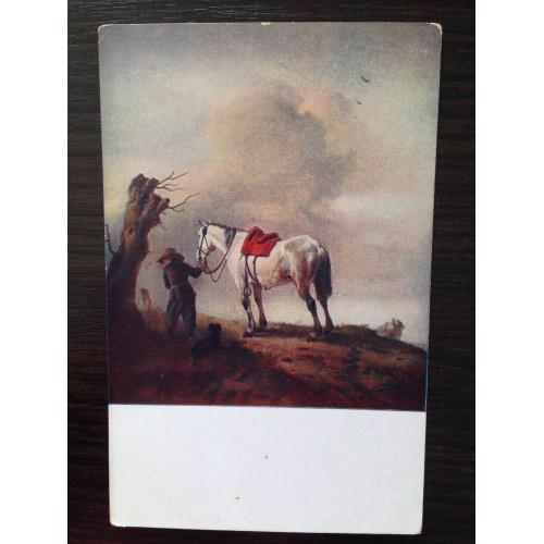 Нидерландская открытка. Мужчина с лошадью.