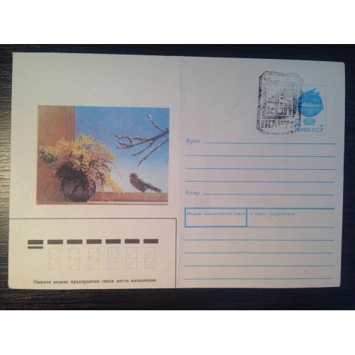 Почтовый конверт 1991 г. Букет мимозы цветы