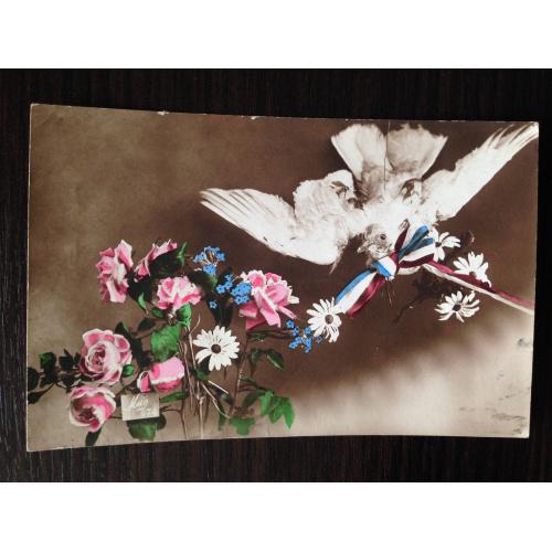 Старинная открытка. Белый голубь и цветы. 1919 г.