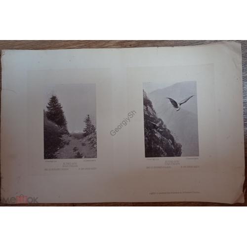 2 листа фототипия В. Верещагин В горах Алатау  Киргизы внутренность палатки J.D. Obernetter Munche  