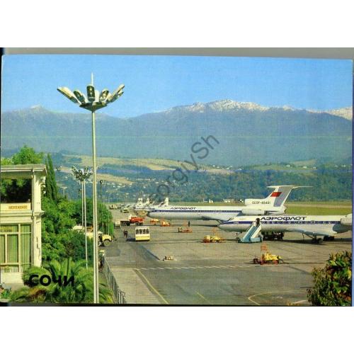 Адлер Аэропорт 1981 Airport в5-1  самолёты