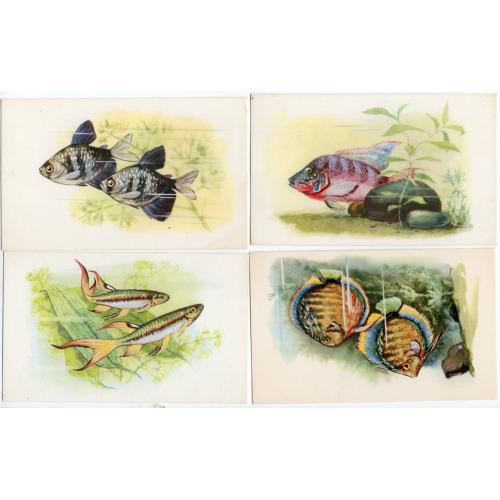 Аквариумные рыбки - набор 10 открыток худ. Л. Аристов 1968 Советский художник