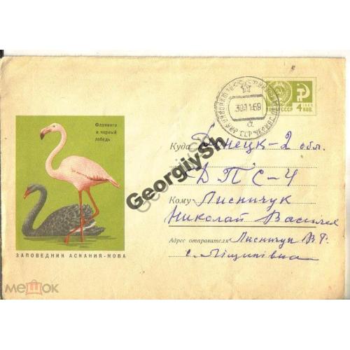 Аскания-Нова Фламинго Черный лебедь ХМК 5785 прошел почту Лищиновка