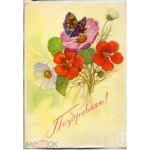Б. Мухин Поздравляю 1966 Советский художник цветы бабочка  