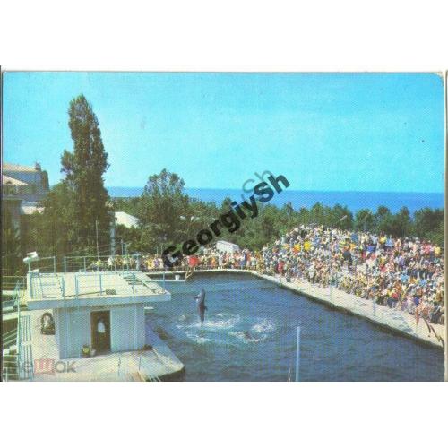 Батуми Дельфинарий Арена для выступлений 1980  