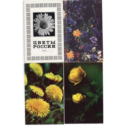 Цветы России набор 9 из 15 открыток 1972 Планета