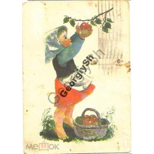 Девочка собирает яблоки - Связьиздат прошла почту 1959 г  