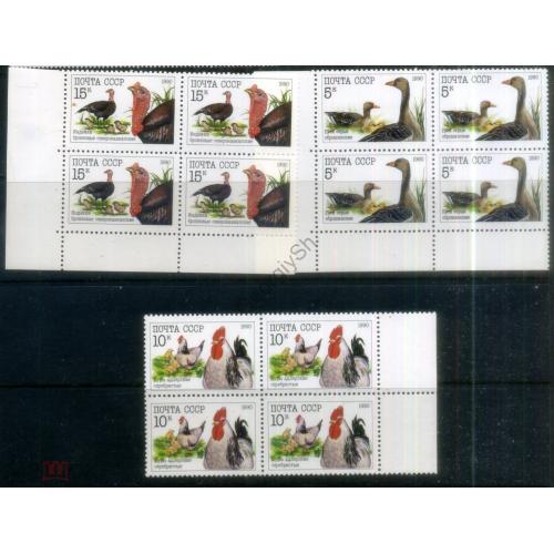  Домашняя птица. Гуси, куры, индейки. серия 3 марки в квртблоках СССР (6102-4) 1990 год MNH  