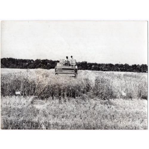 Экспериментальный комбайн / поле / пшеница / сельское хозяйство18х24 см