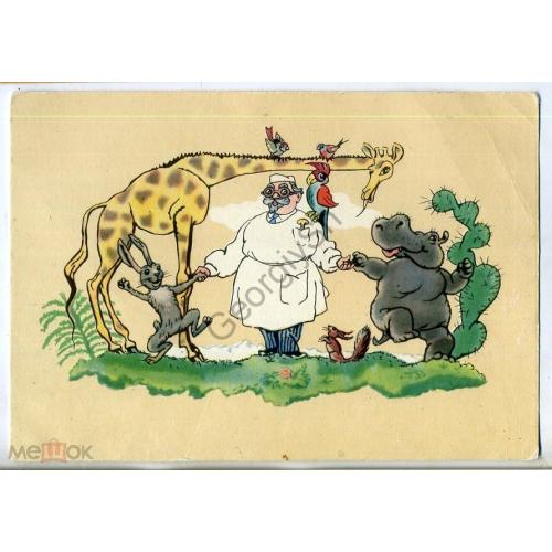 Фридкин Доктор Айболит 1957 в8-1  ИЗОГИЗ жираф заяц бегемот