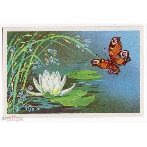 Г. Линде Поздравляю 1989 Изобразительное искусство / бабочка Белая лилия  чистая