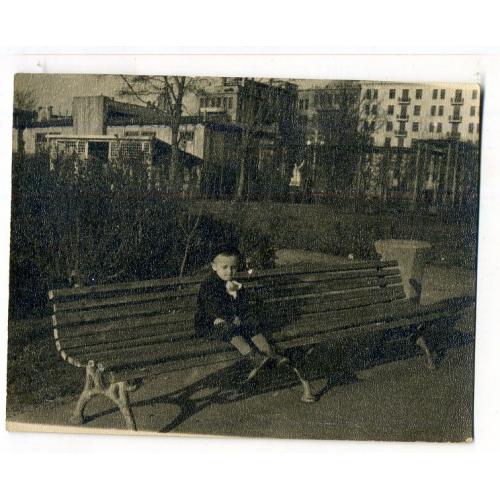 Харьков мальчик на скамеййке позади Розария на Сумской ул. памятник Сталину 9х12 см  