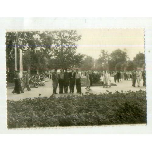 Харьков парк Шевченко Главная аллея пятеро, форма 8х11,5 см  