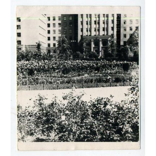 Харьков площадь Дзержинского старый вход в Университет ХГУ 8х9 см  