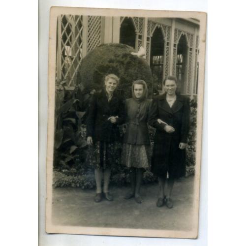 Харьков улица Сумская, розарий, три девушки у клумбы Глобус 26.09.1951 8,8х13 см  