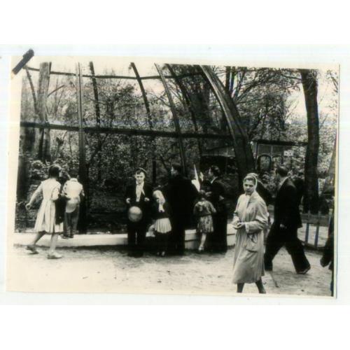 Харьков Зоопарк дети у вольера Енота-полускуна 8,5х12 см  